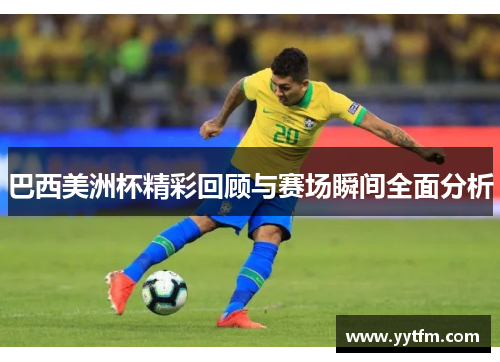 巴西美洲杯精彩回顾与赛场瞬间全面分析