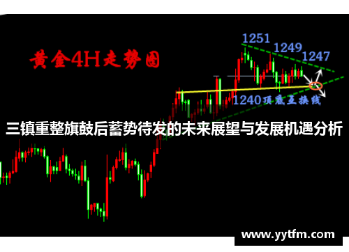 三镇重整旗鼓后蓄势待发的未来展望与发展机遇分析